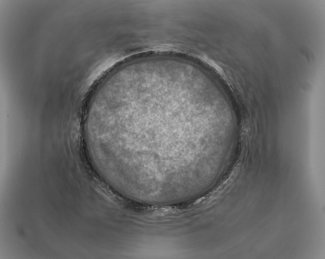 X0000112401263200909110921