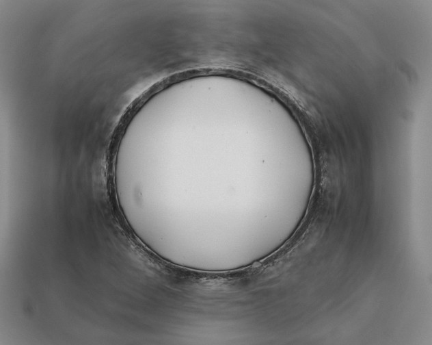 X0000112401264200909110921