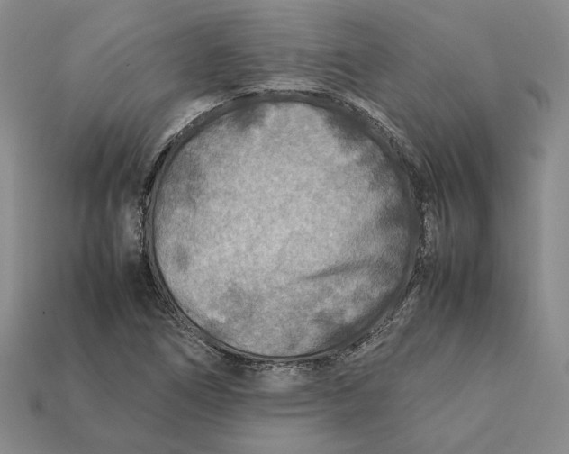 X0000112401266200909110921