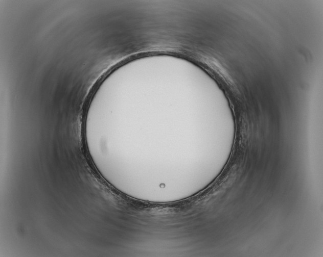 X0000112401268200909110921