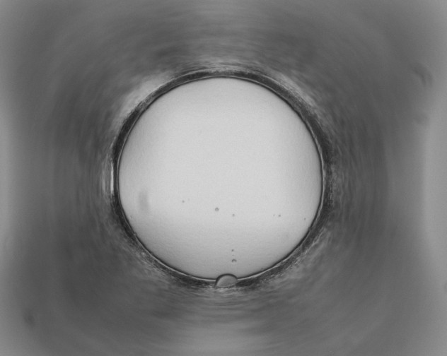 X0000112401269200909110921