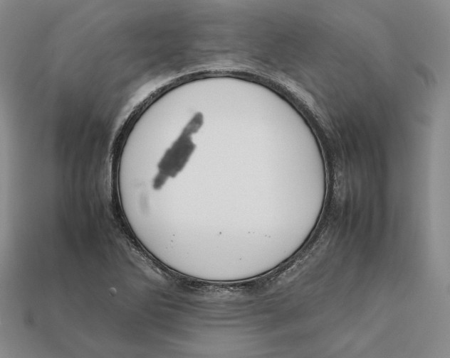 X0000112401270200909110921
