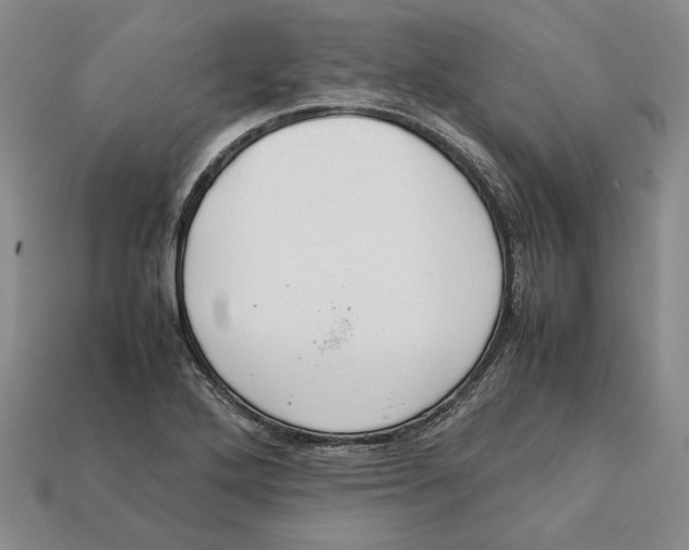 X0000112401272200909110921