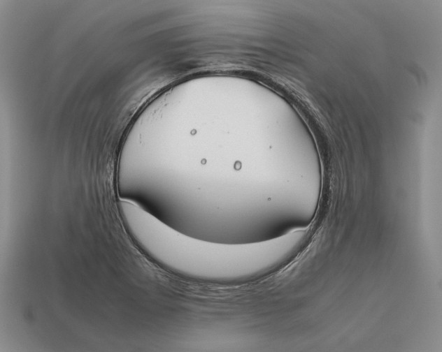X0000112401273200909110921