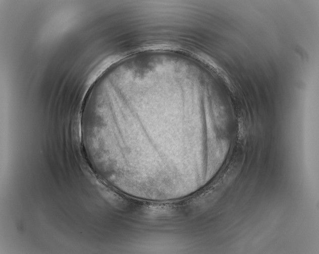 X0000112401274200909110921