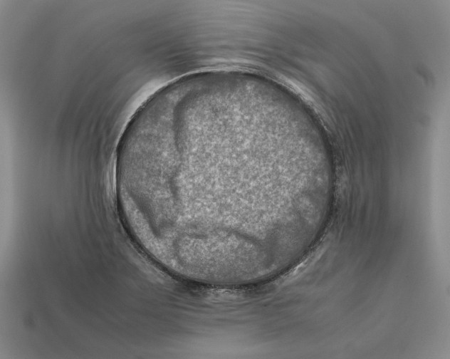 X0000112401275200909110921