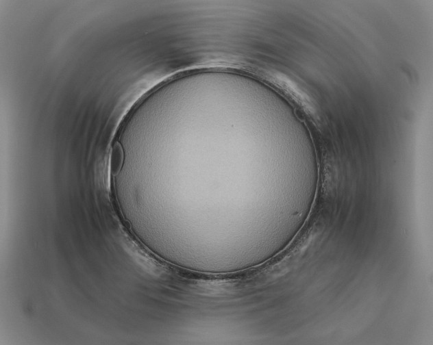 X0000112401276200909110921