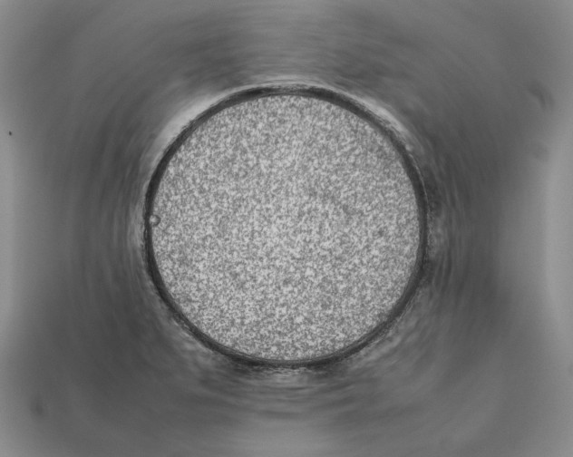 X0000112401279200909110921