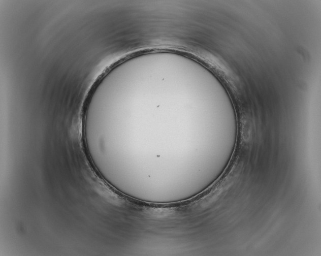 X0000112401280200909110921
