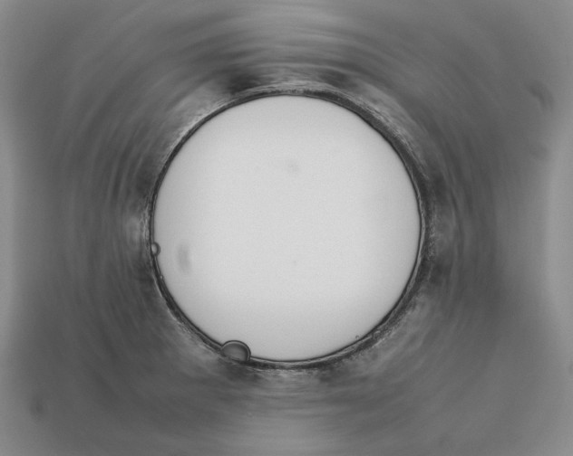 X0000112401281200909110921