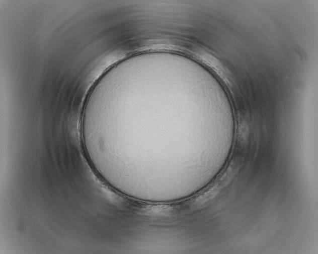 X0000112401282200909110921