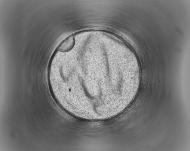 X0000112401283200909110921