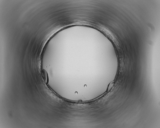 X0000112401284200909110921
