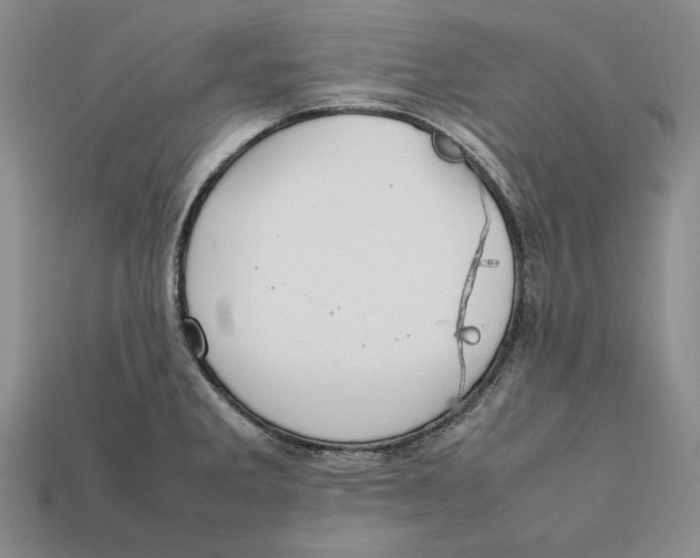 X0000112401285200909110921