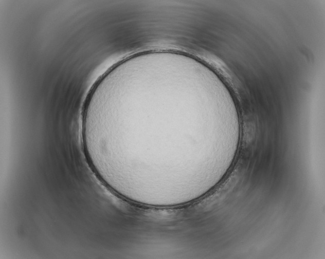 X0000112401286200909110921