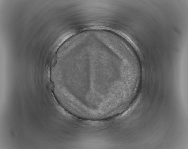 X0000112401289200909110921