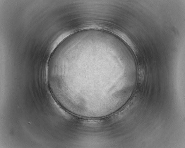 X0000112401290200909110921