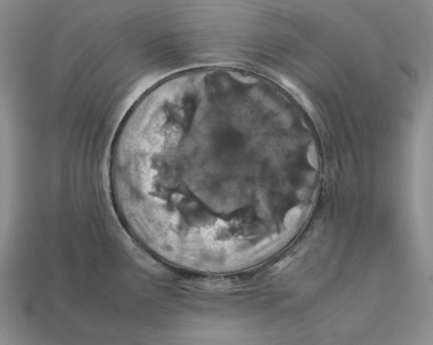 X0000112401291200909110921