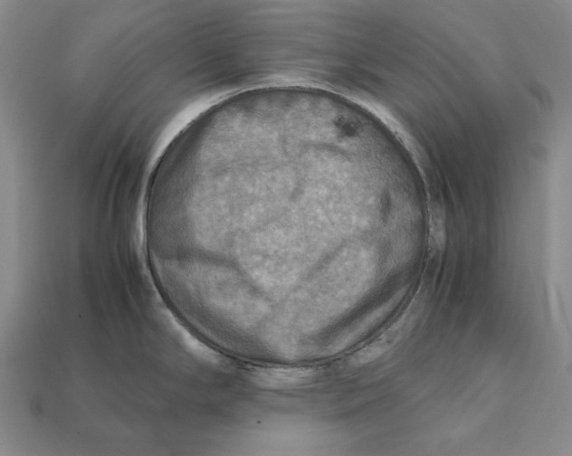 X0000112401294200909110921