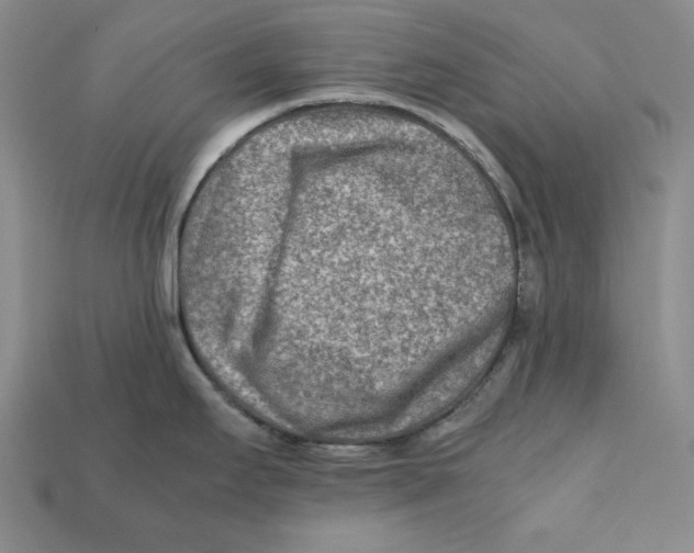 X0000112401295200909110921