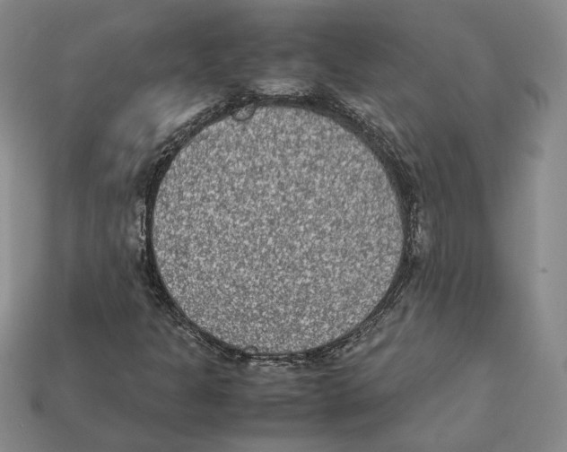 X0000112401301200909110920