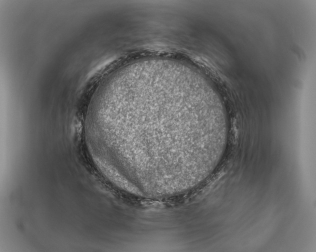 X0000112401302200909110920
