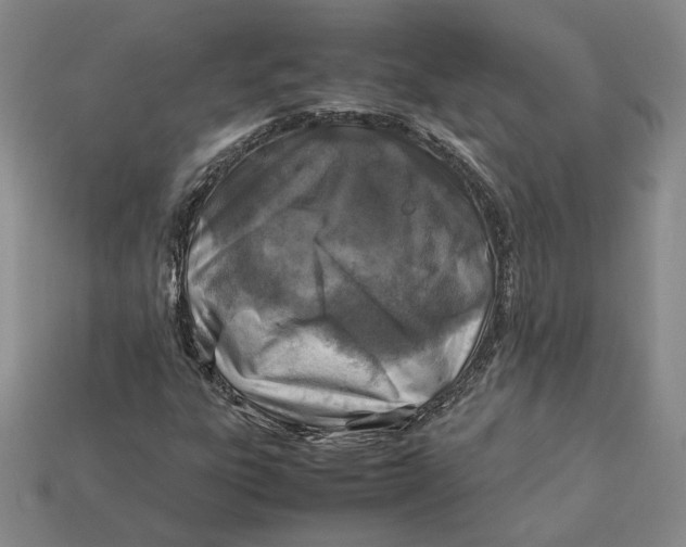 X0000112401303200909110920