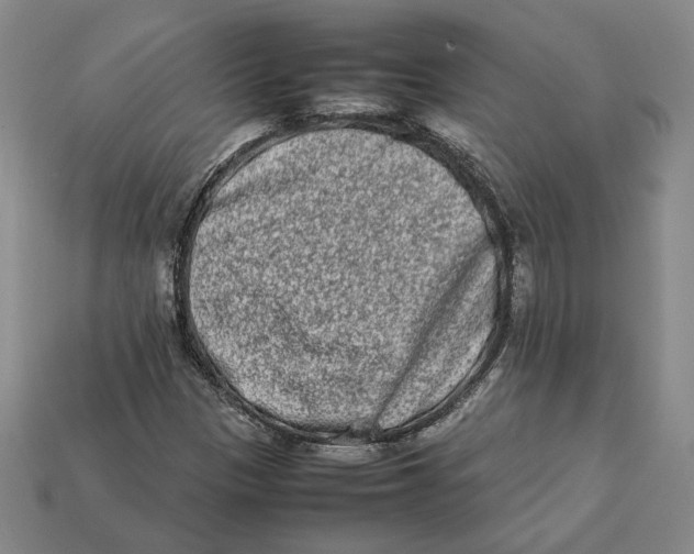 X0000112401305200909110920