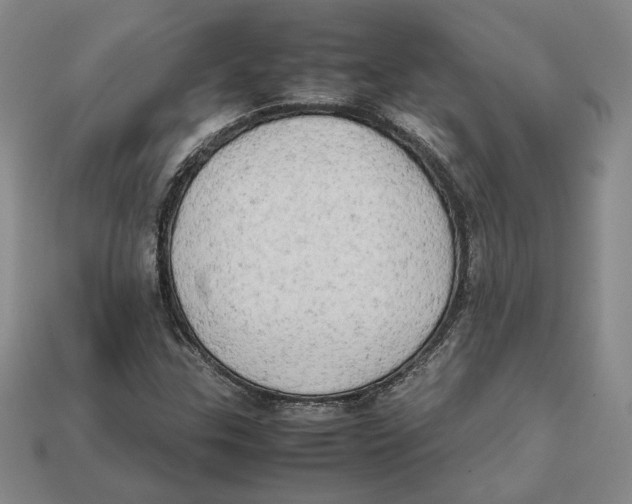 X0000112401307200909110920