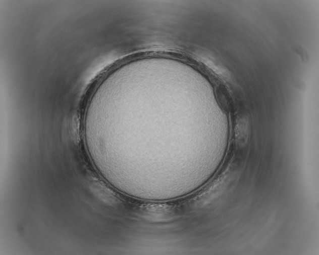 X0000112401310200909110920
