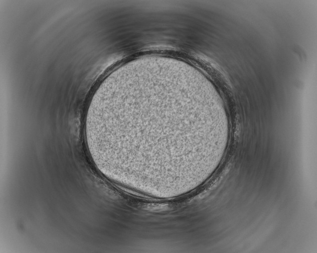 X0000112401313200909110920
