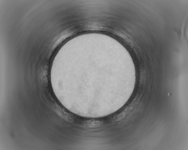 X0000112401314200909110920