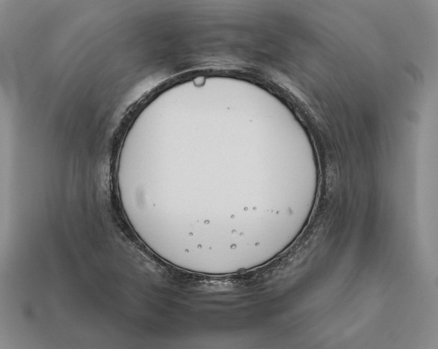 X0000112401315200909110920