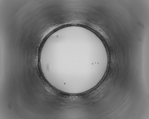 X0000112401316200909110920