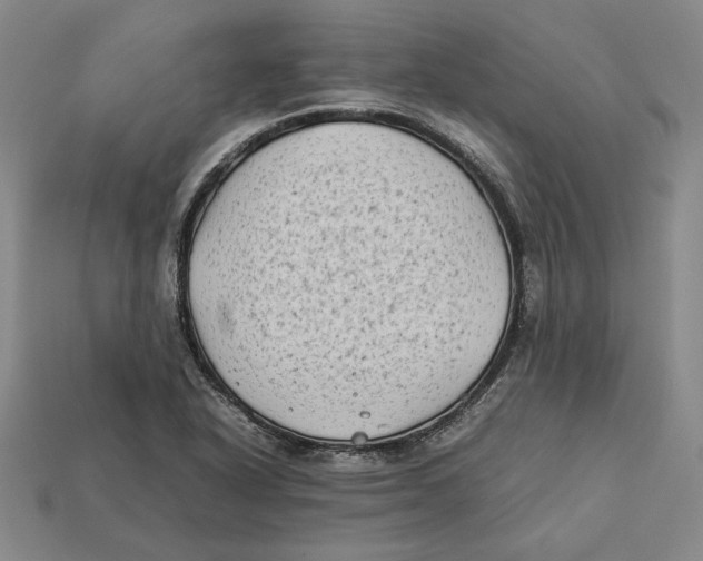 X0000112401318200909110920