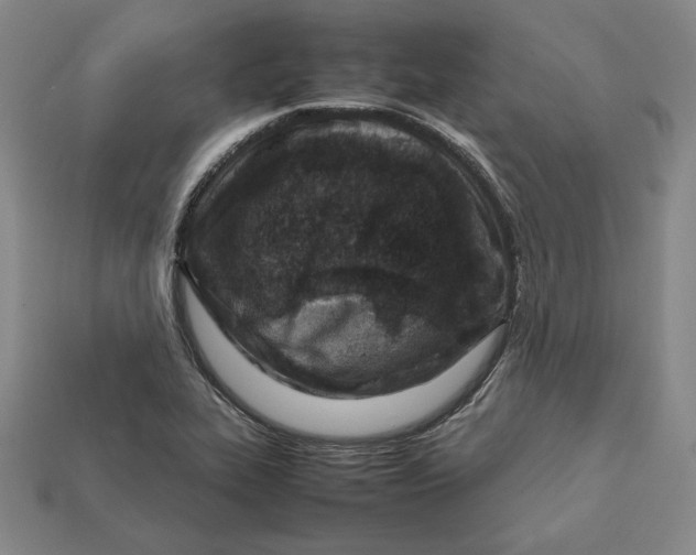 X0000112401319200909110920