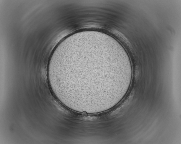 X0000112401321200909110921