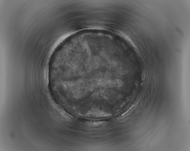 X0000112401323200909110921