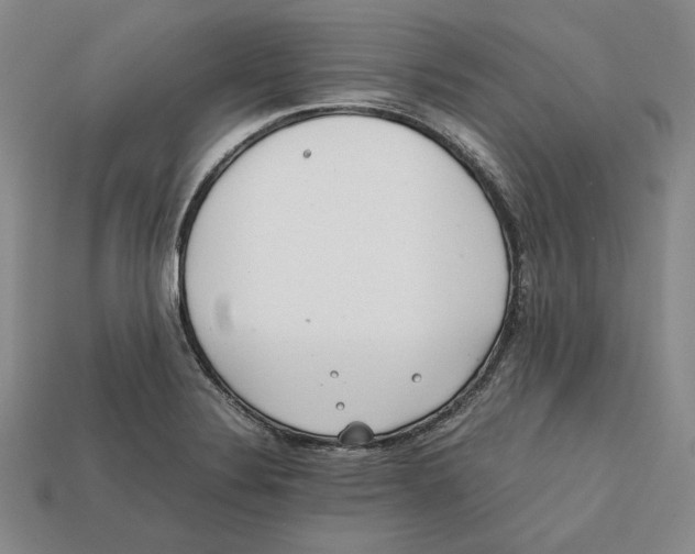 X0000112401324200909110921
