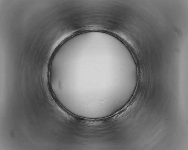 X0000112401325200909110921