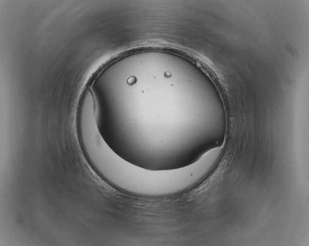 X0000112401326200909110921