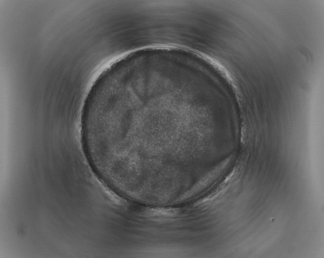 X0000112401327200909110921