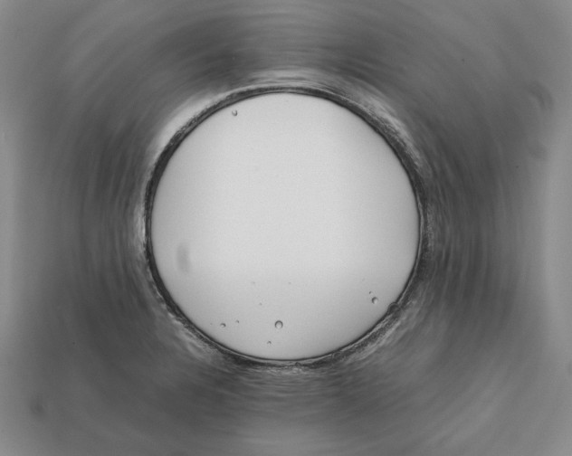 X0000112401328200909110921