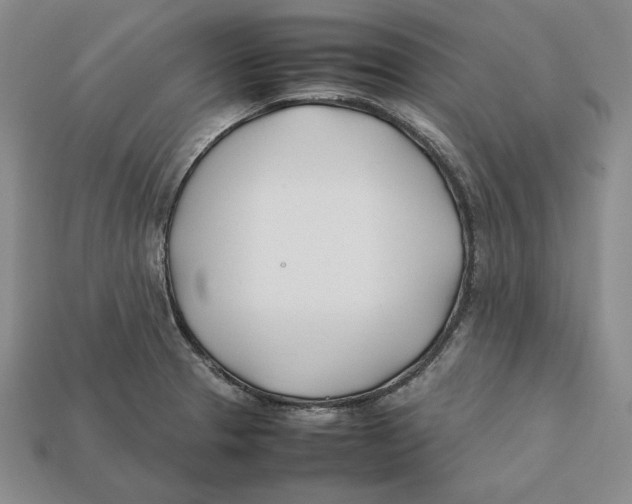 X0000112401329200909110921