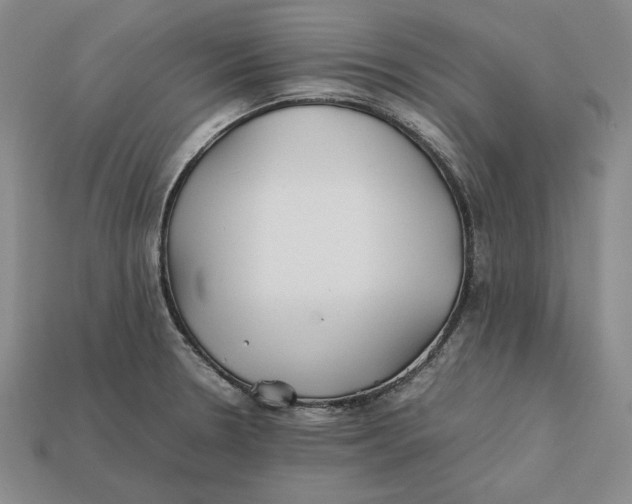 X0000112401330200909110921