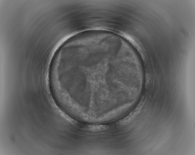 X0000112401331200909110921