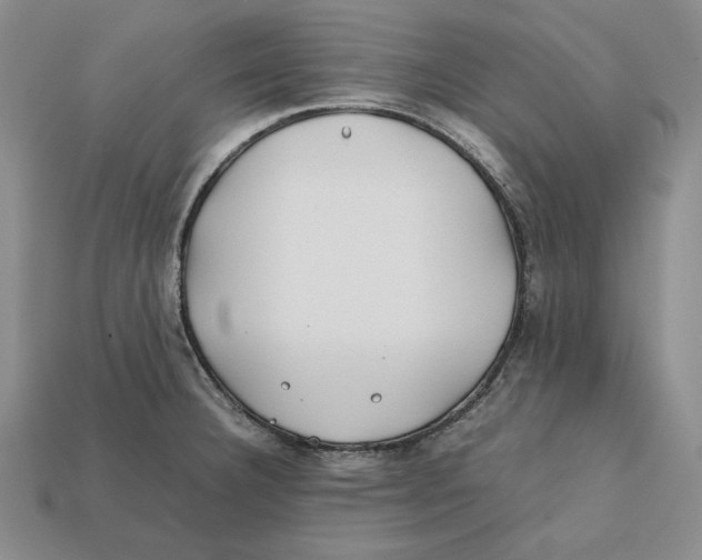 X0000112401332200909110921
