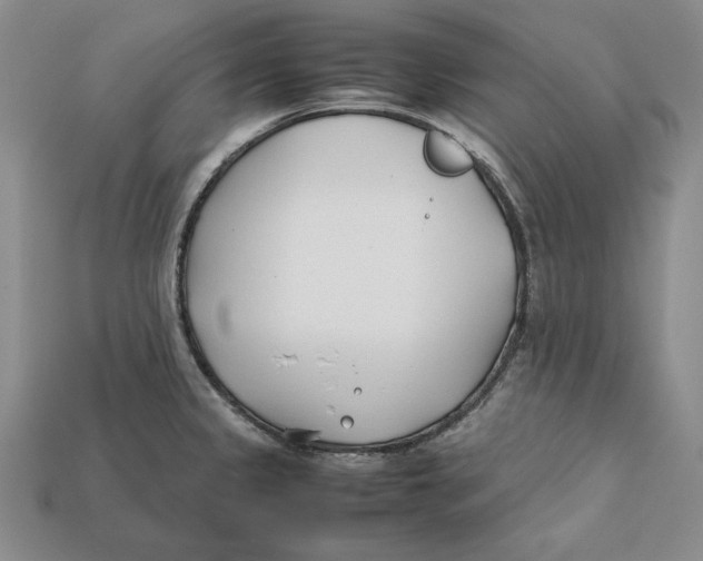 X0000112401333200909110921