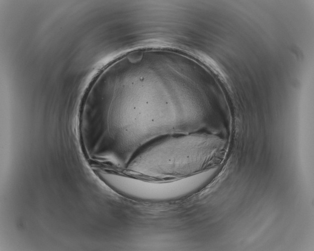 X0000112401334200909110921