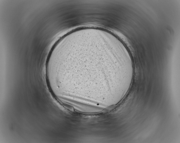 X0000112401335200909110921